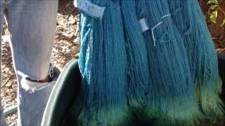 Indigo Dyeing full video [upl. by Einahpetse]