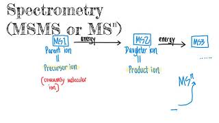 CHM4930 Tandem Mass Spectrometry MSMS MSn [upl. by Yrrehs]