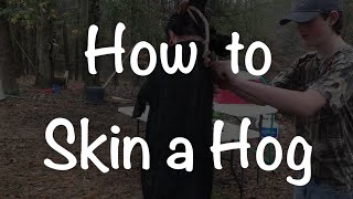 How to Skin a Hog the Easy Way [upl. by Baudoin]