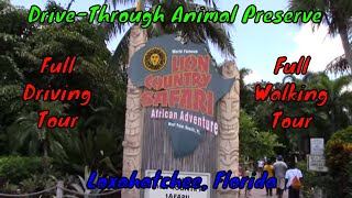 Lion Country Safari Full Tour  Loxahatchee Florida [upl. by Caitlin839]