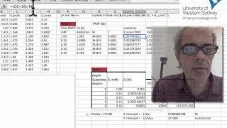 Quick Guide to Calculating Enzyme Activity [upl. by Berck]