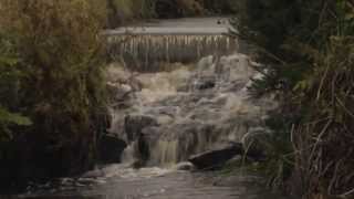 Laphroaig Distillery Tour  Kilbride Stream [upl. by Fabrice]