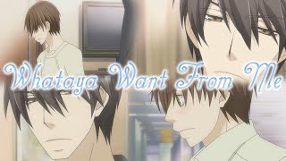 SiH Whataya Want From Me  Ritsu x Takano [upl. by Ollayos]