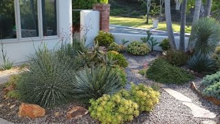 Design Ideas from an AwardWinning Succulent Garden [upl. by Lune]