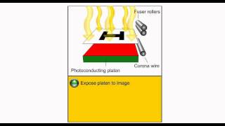 Electric Charge  How a Photocopier Works [upl. by Ylloj767]