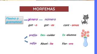 ESTRUCTURA Y FORMACIÓN DE LAS PALABRAS [upl. by Bowne133]