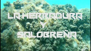 Snorkel  La Herradura amp Salobreña 🇪🇸 [upl. by Gaillard]