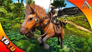 🚩ARK EQUUS TAMING WHERE TO FIND amp HOW TO TAME THE EQUUS Ark Survival Evolved V256 Gameplay [upl. by Secnirp76]