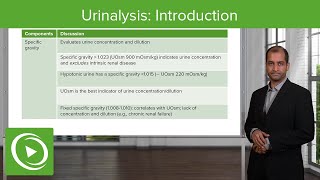 Urinalysis Introduction – NephrologyFoundations  Lecturio [upl. by Adnopoz]