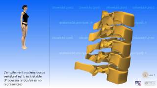 La colonne cervicale [upl. by Nelan]