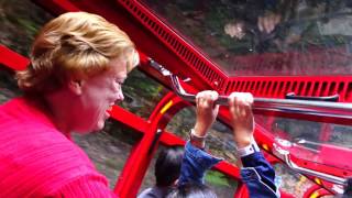 Blue Mountain Scenic Railway  worlds steepest inclined Railway [upl. by Aisatan]