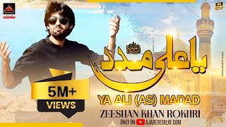 Qasida  Ya Ali Madad  Zeeshan Khan Rokhri  2017 [upl. by Cerelly85]