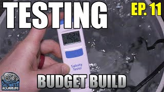 TESTING Your Tank – Beginner Saltwater Budget Aquarium [upl. by Nillek]