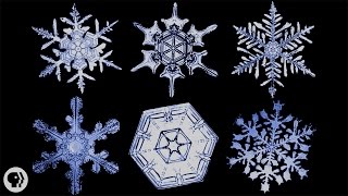 The Science of Snowflakes [upl. by Mian]