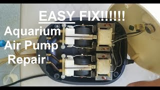 How to Fix Aquarium Air Pump EASY [upl. by Sinned]