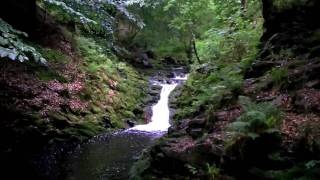 Ardennen  Ardennes Hockai Wandelen  Hiking  Fleet Foxes [upl. by Avrit578]