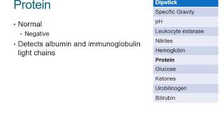 How to Read a Urinalysis Result [upl. by Elliven]