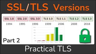 TLS  SSL Versions  Part 2  Practical TLS [upl. by Liagiba845]