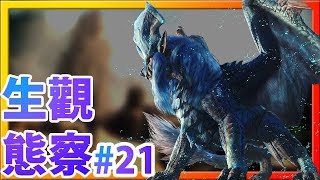 【魔物獵人世界MHW】生態觀察21炎妃龍炎王家的小8點檔ftSong Yi配音 [upl. by Eiznek]