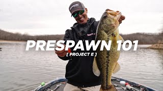 PRESPAWN 101 🔑🎣 Project E [upl. by Azalea]