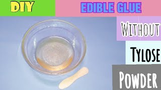 DIY Homemade Edible Glue Without Tylose Powder Easy Edible Glue [upl. by Chandler]