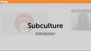 Subculture  Sociology  Chegg Tutors [upl. by Gow]