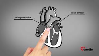 Anatomie du coeur  version française [upl. by Assertal]