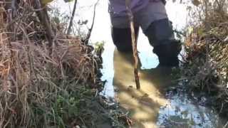 Simple Trapping Sets Beaver Foothold [upl. by Nylitsirk]