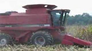 Case IH 2388 Combine Picking Corn [upl. by Ahsitam]