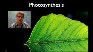 Photosynthesis [upl. by Nets]