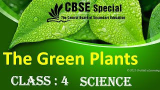 Class 4  SCIENCE  The Green Plants  NCERT  CBSE Syllabus  Photosynthesis [upl. by Anitnatsnoc]