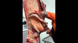 Beef boning [upl. by Yderf]