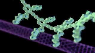 Nanotechnology Animation Functionalized nanotubes [upl. by Sonya780]