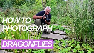 10 tips for dragonfly photography [upl. by Adirehs]