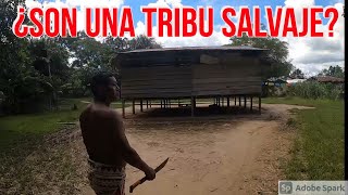 ¿CÓMO VIVE UNA TRIBU BORA EN LA SELVA PERUANA  DILO NOMÁS [upl. by Nal]