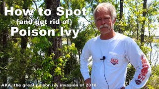 How to Distinguish Poison Ivy from Its Lookalikes [upl. by Lyred]