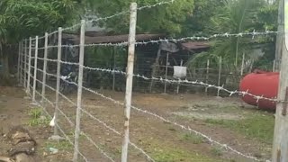 Barbed Wire Fencing philsbulacan [upl. by Cale]