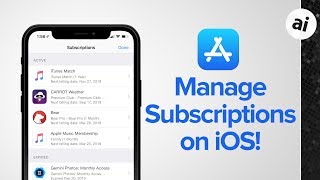 Quick Tip How To Manage Subscriptions on iOS [upl. by Elleraj340]