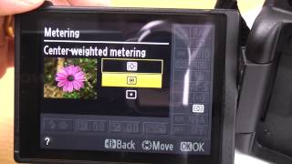 Nikon D5100 beginner basic guide part 1 Info screen settings tutorial [upl. by Russia]