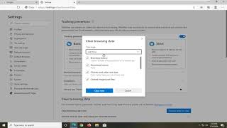 How to Clear the Cache and Cookies in Microsoft Edge Tutorial [upl. by Eliathan]