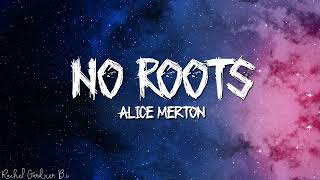 Alice Merton – No Roots Lyrics [upl. by Garnett]