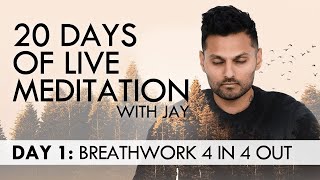 20 Days of Live Meditation with Jay Shetty Day 1 [upl. by Rawlinson]