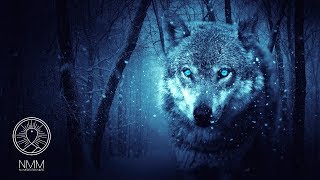 Native American Flute Music quotWolf Instinctquot Meditation Music for Shamanic Astral Projection 41804N [upl. by Carli]