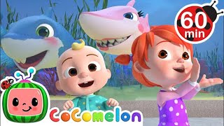 Baby Shark  Cocomelon  Nursery Rhymes  1 HOUR [upl. by Pazit899]