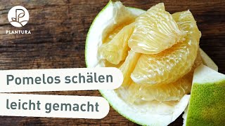 Lifehack Pomelos schälen aufschneiden und essen [upl. by Lebezej]