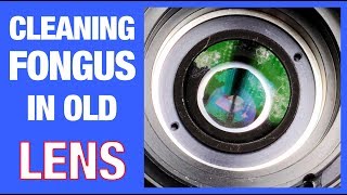 How to Remove Fungus from a Camera Lens EASY [upl. by Ferguson]