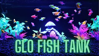 Glo Fish Aquarium  Tank Makeover Build for the Store [upl. by Deeann834]