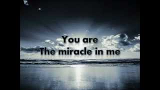 Miracle  Shinedown Lyrics [upl. by Starbuck825]