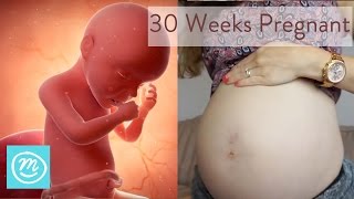 30 Weeks Pregnant What You Need To Know  Channel Mum [upl. by Yrtnej813]