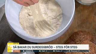 Baka det perfekta surdegsbrödet – steg för steg  Nyhetsmorgon TV4 [upl. by Swainson]